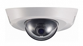 IP камера BVA440DFFS