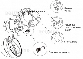 IP камера SV2010DVZ